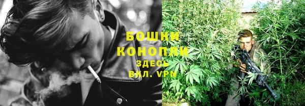 прущая мука Богданович