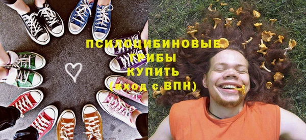 прущая мука Богданович