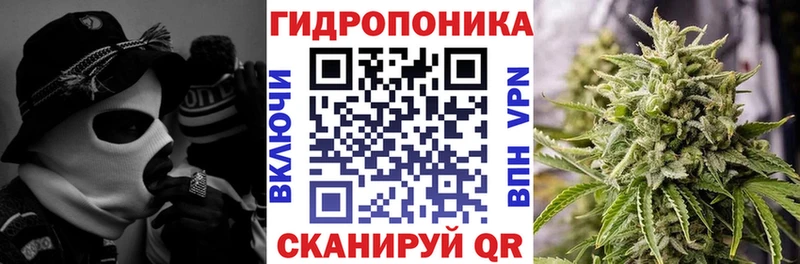 Шишки марихуана план Энгельс